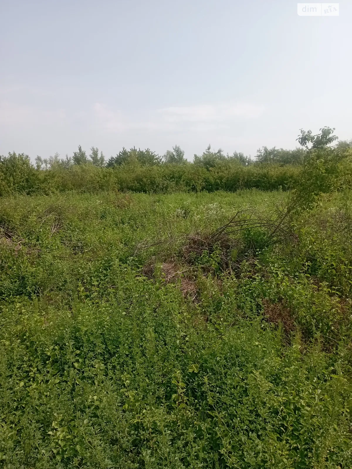 Продается земельный участок 6.86 соток в Закарпатской области, цена: 19500 $ - фото 1