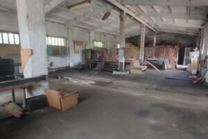Продажа специального помещения, Черкасская, Смела, Садовая улица