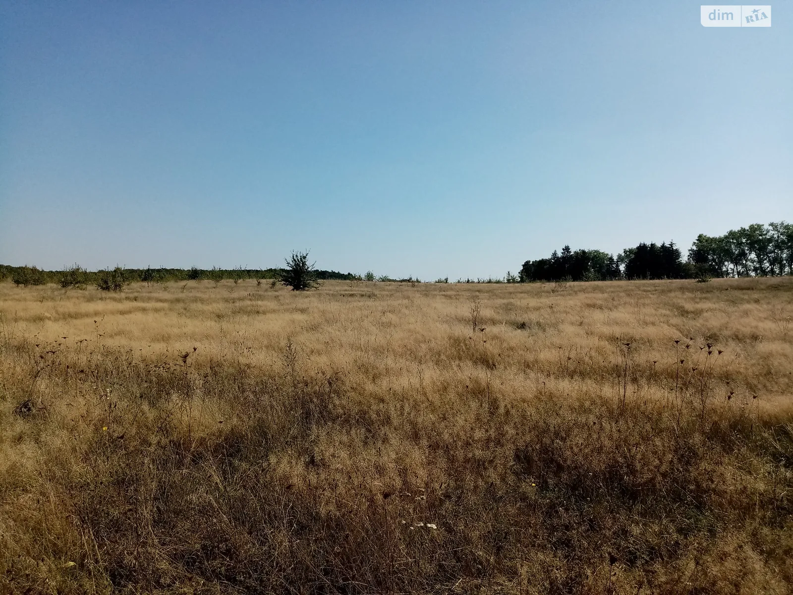 Стрижавка, цена: 3500 $ - фото 1