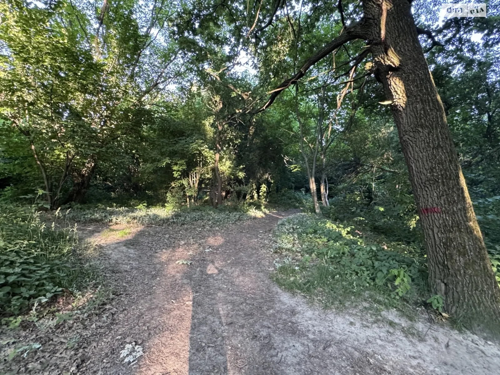 Продається земельна ділянка 13.46 соток у Львівській області, цена: 145000 $ - фото 1
