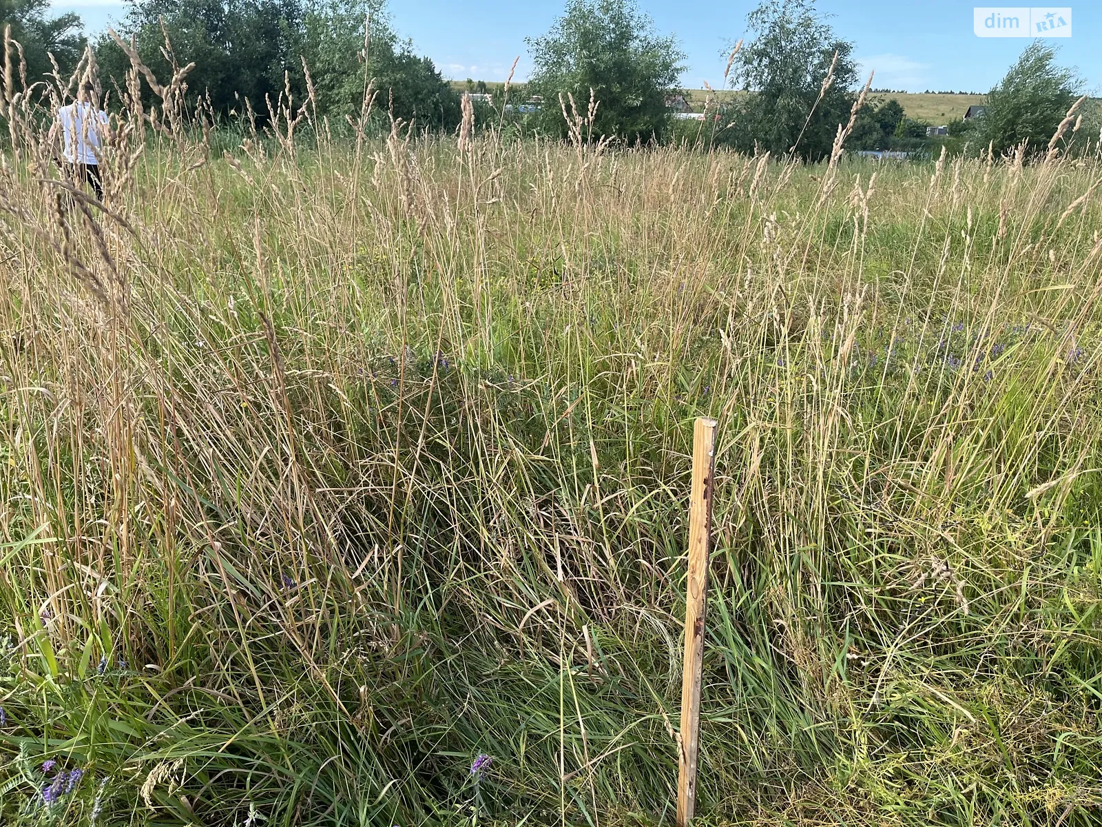 Чижова Зарванцы, цена: 8000 $ - фото 1