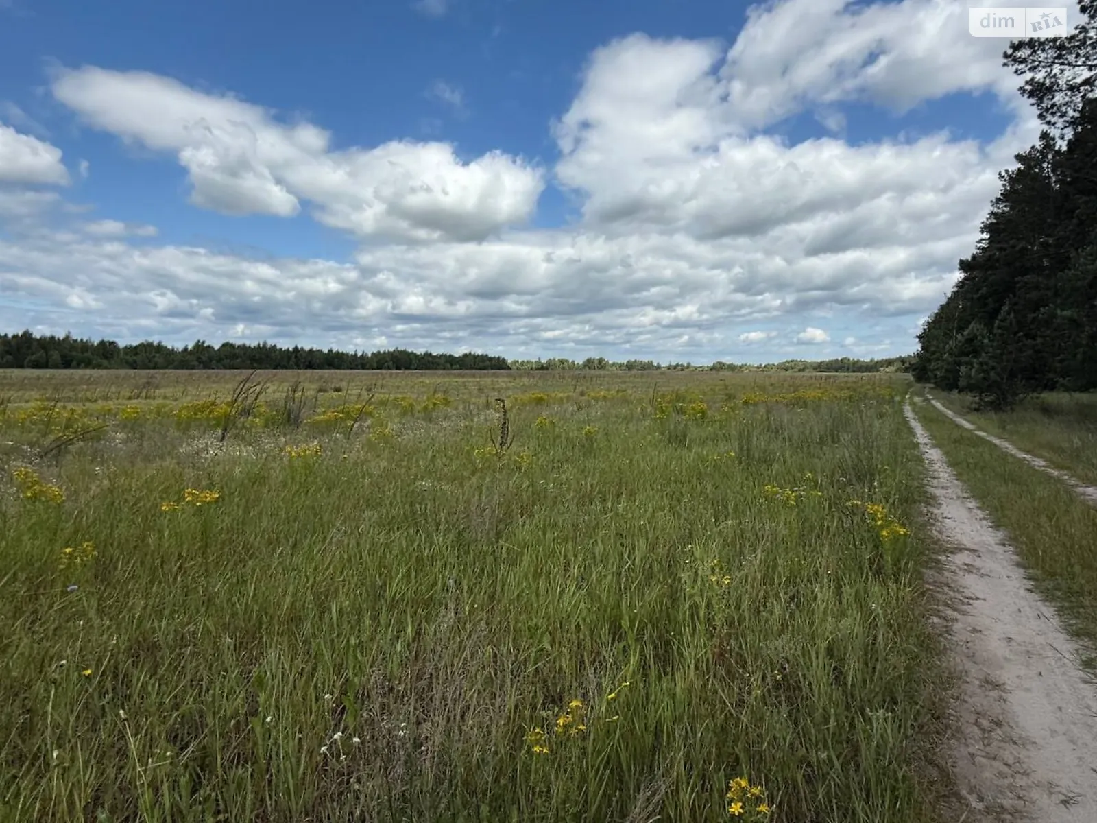 Продается земельный участок 15 соток в Киевской области, цена: 5000 $ - фото 1