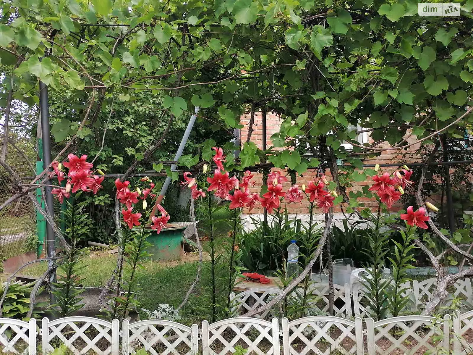 Продается дом на 2 этажа 38 кв. м с подвалом, цена: 26000 $ - фото 1