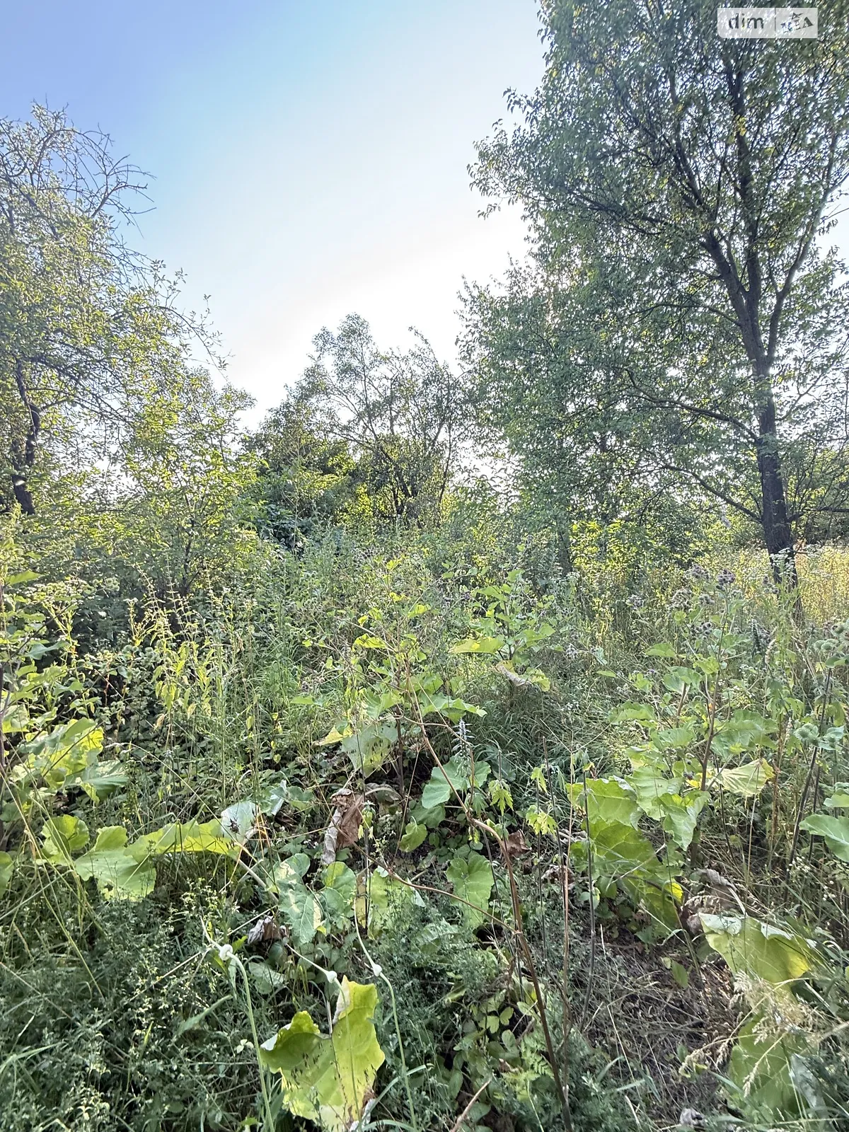 Продается земельный участок 20 соток в Винницкой области, цена: 14000 $ - фото 1