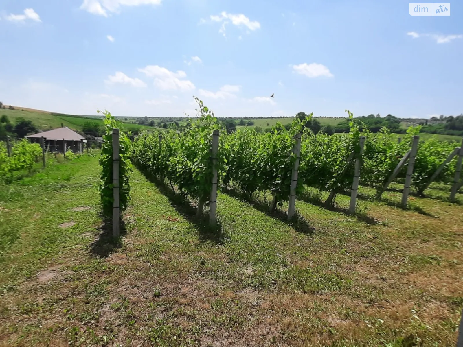 Продается одноэтажный дом 60 кв. м с верандой, цена: 35000 $ - фото 1