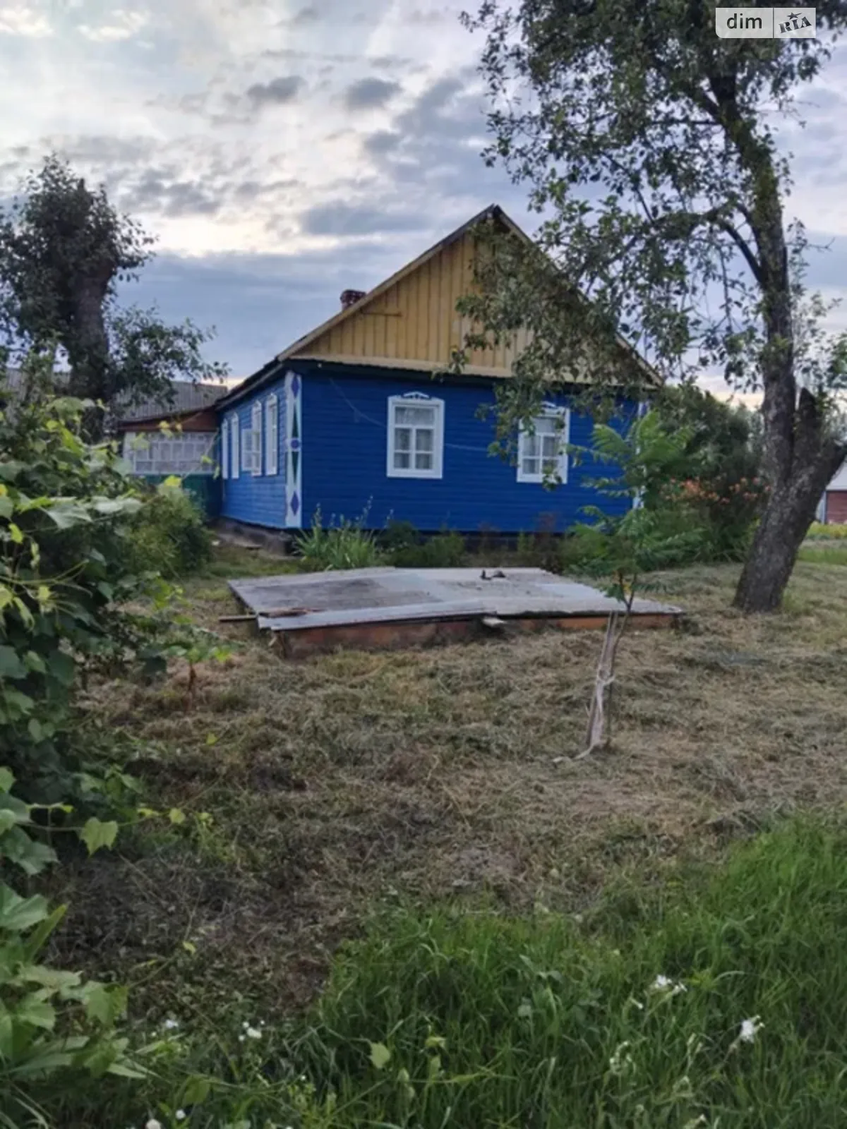 Продается одноэтажный дом 60 кв. м с бассейном, цена: 10500 $ - фото 1
