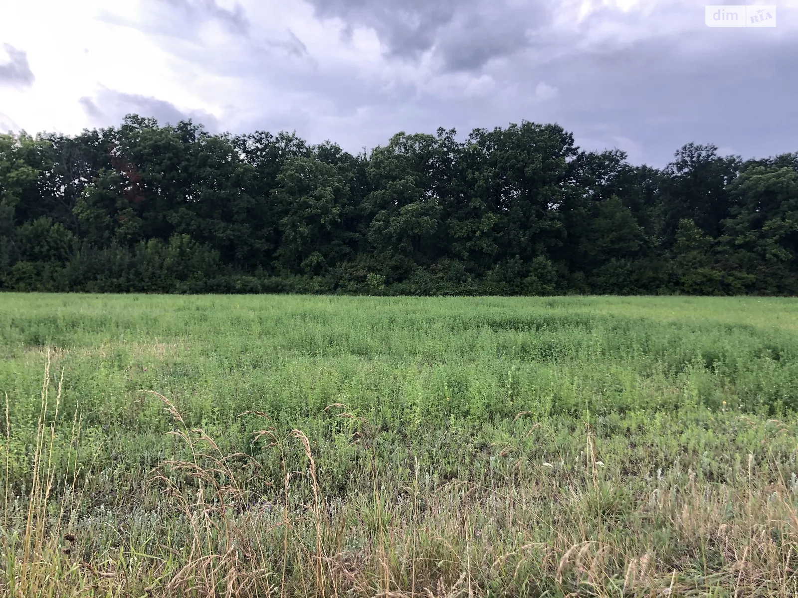 Продается земельный участок 18.5 соток в Винницкой области, цена: 7000 $ - фото 1