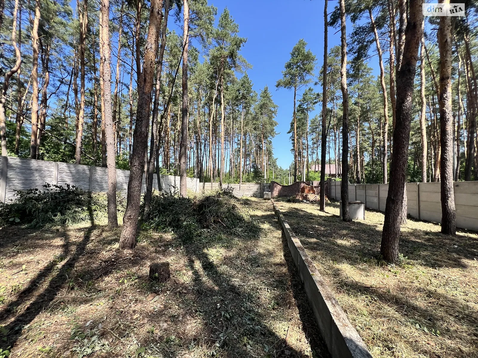 Продается земельный участок 25 соток в Житомирской области, цена: 87999 $ - фото 1