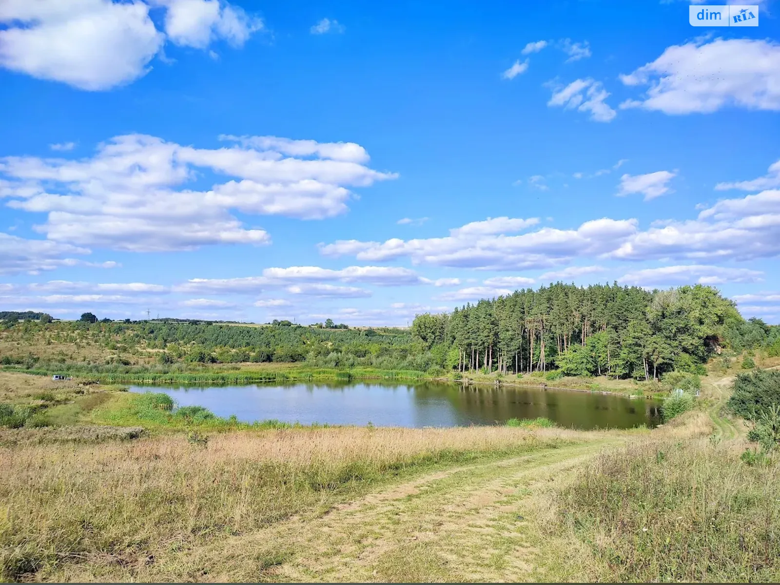 Ружичанка, цена: 35000 $ - фото 1