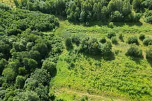 Продаж землі сільськогосподарського призначення, Львівська, Шоломинь