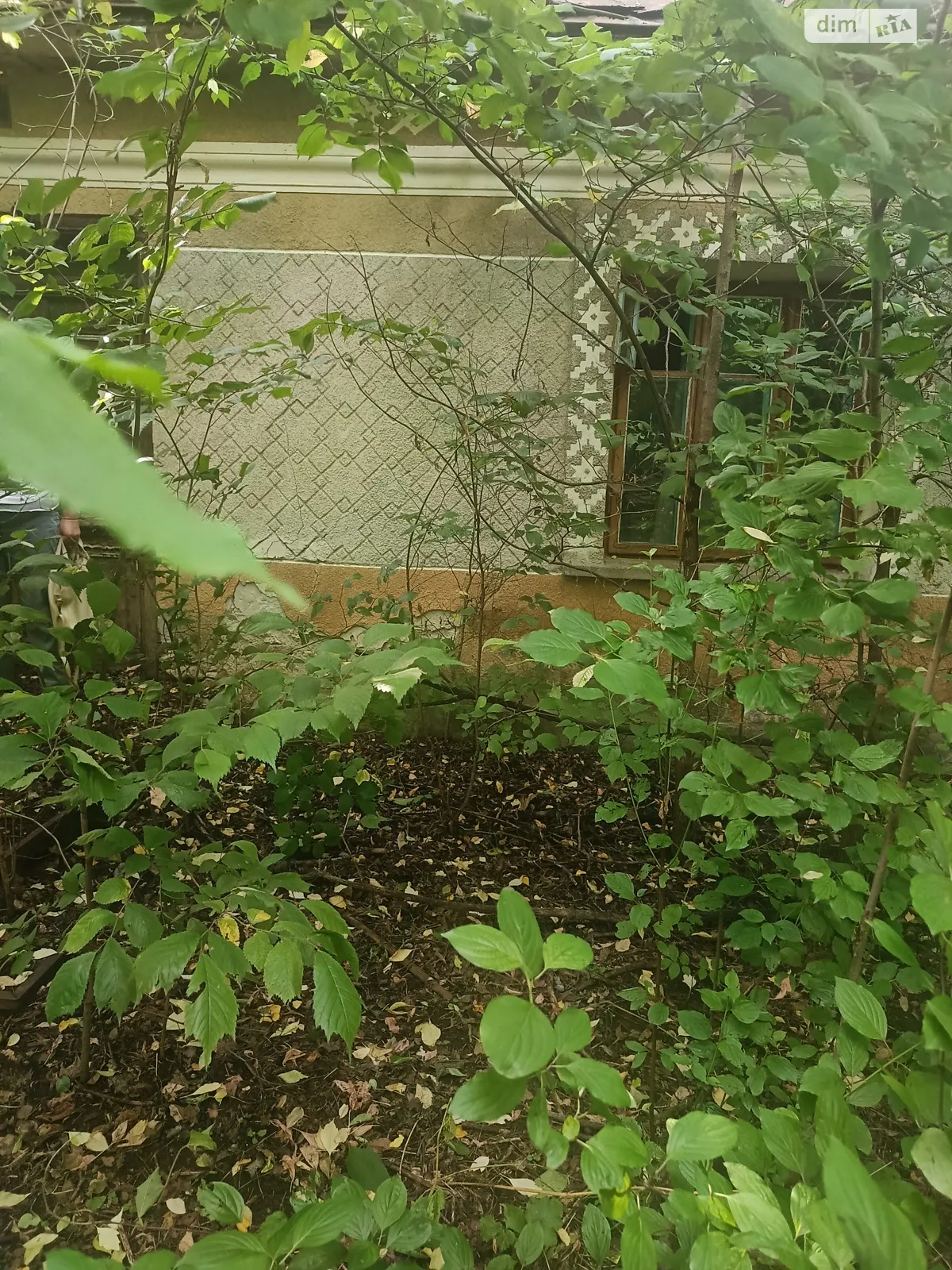 Продается одноэтажный дом 56.1 кв. м с подвалом, цена: 4000 $ - фото 1