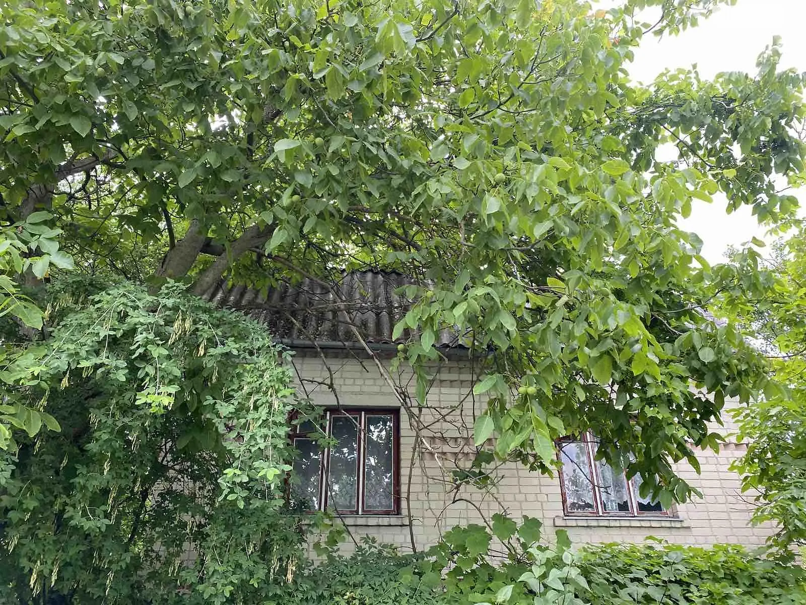 Продается дом на 2 этажа 82 кв. м с участком, цена: 17000 $ - фото 1