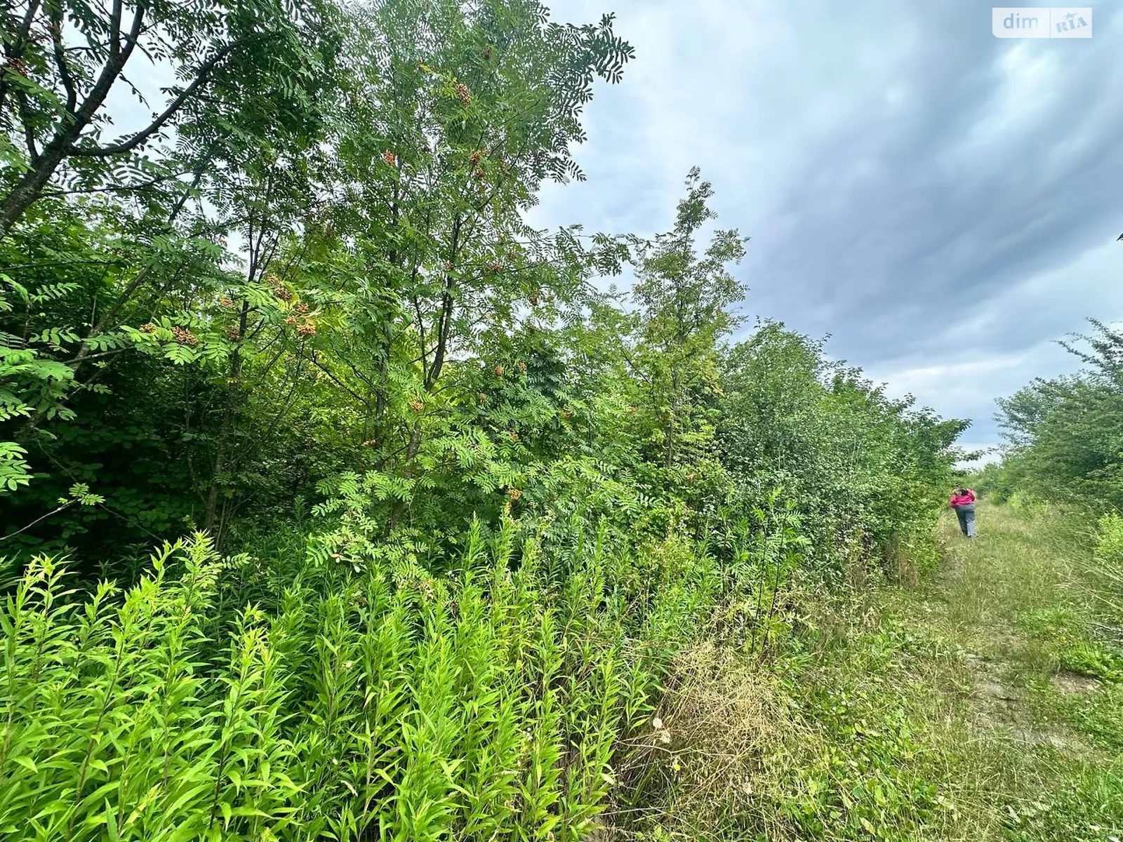 Продается земельный участок 10 соток в Львовской области, цена: 20000 $ - фото 1