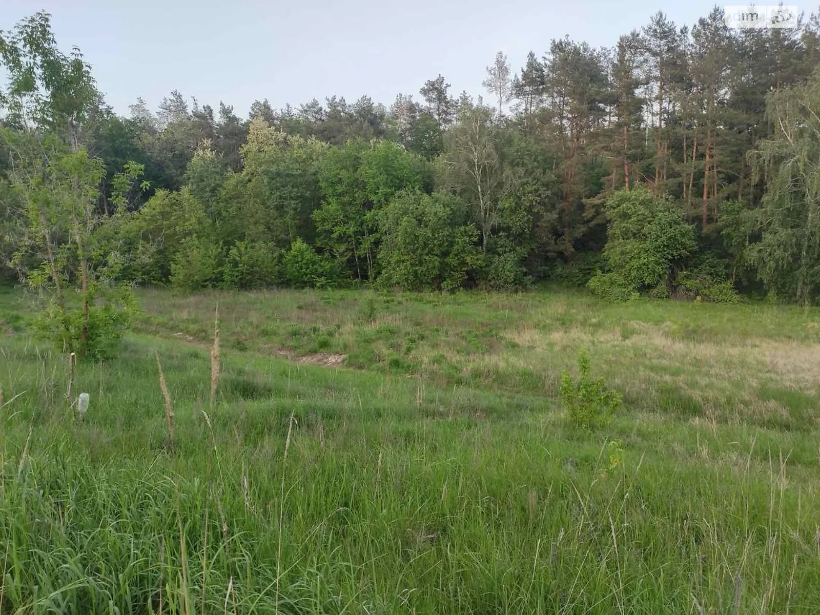 Лісники, цена: 25000 $ - фото 1