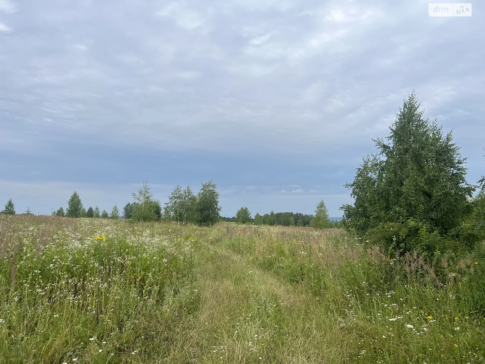 ул. Центральная Лесовые Гриновцы, цена: 8000 $ - фото 1