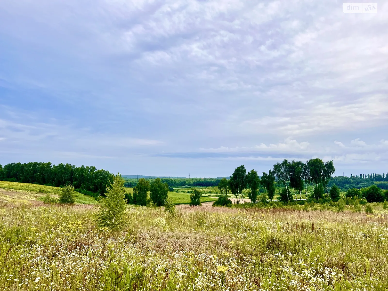 Продается земельный участок 10 соток в Хмельницкой области, цена: 8000 $ - фото 1