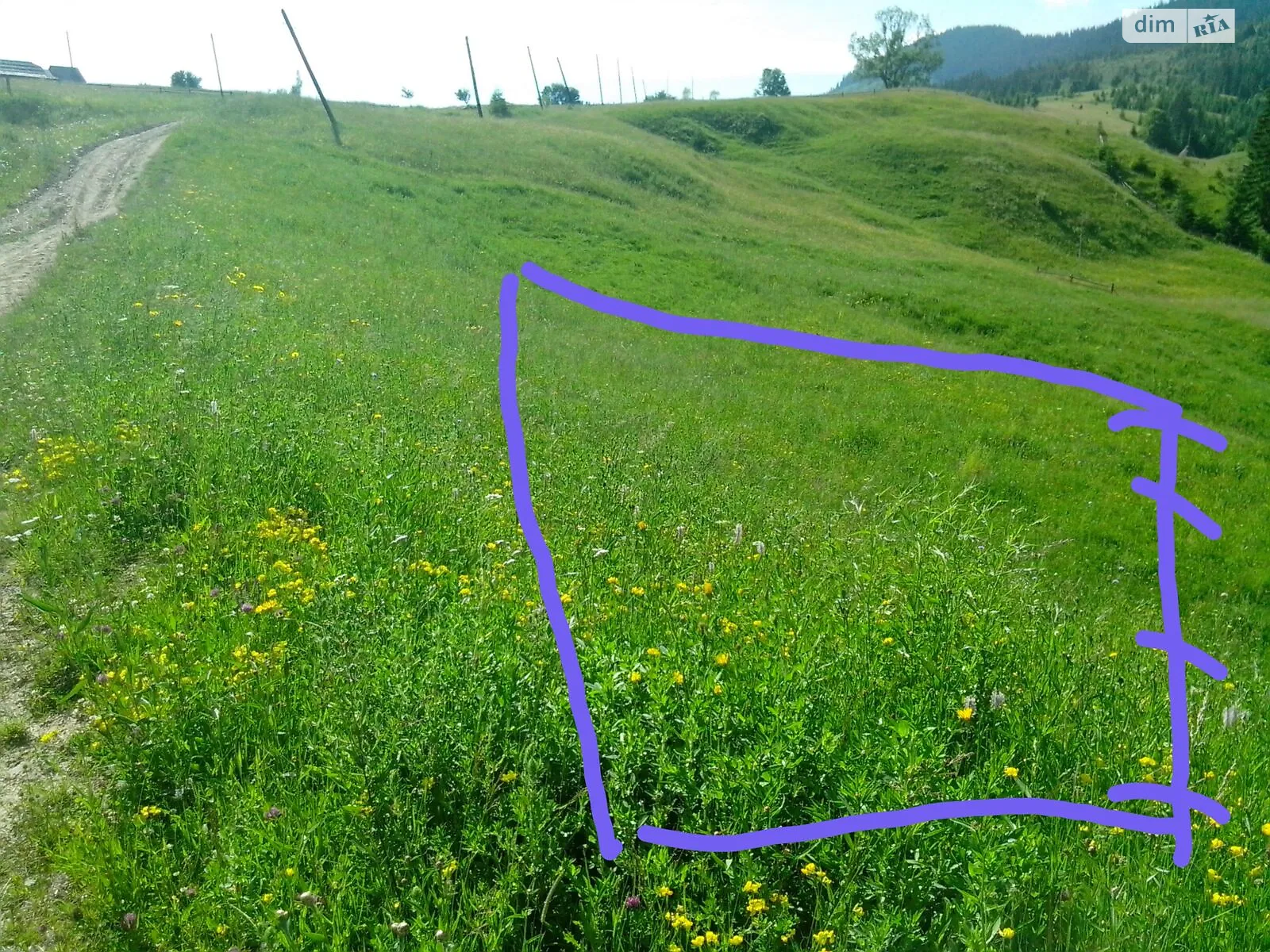 Продается земельный участок 25 соток в Ивано-Франковской области, цена: 21250 $ - фото 1