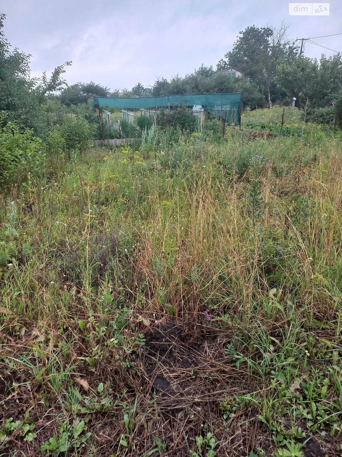 ДМ Дзвіночок Турбов, цена: 2700 $ - фото 1