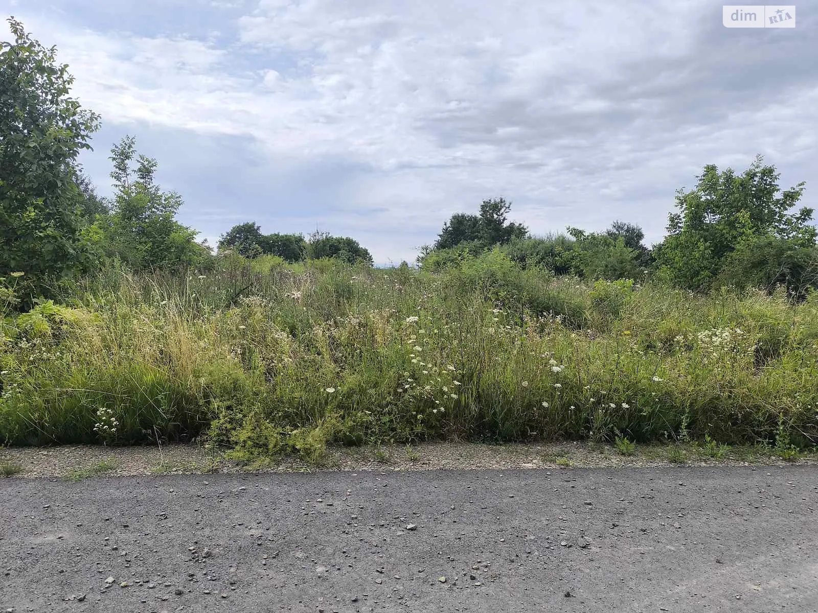 Продается земельный участок 12 соток в Закарпатской области, цена: 11000 $ - фото 1