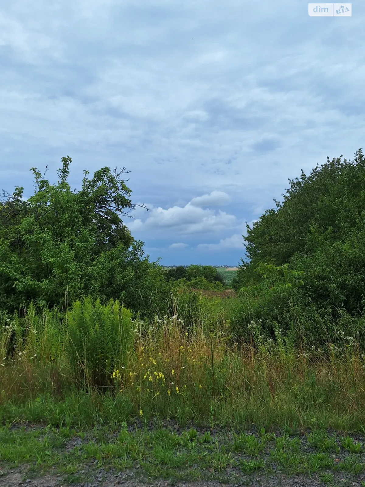 Продается земельный участок 16.5 соток в Волынской области, цена: 16500 $ - фото 1