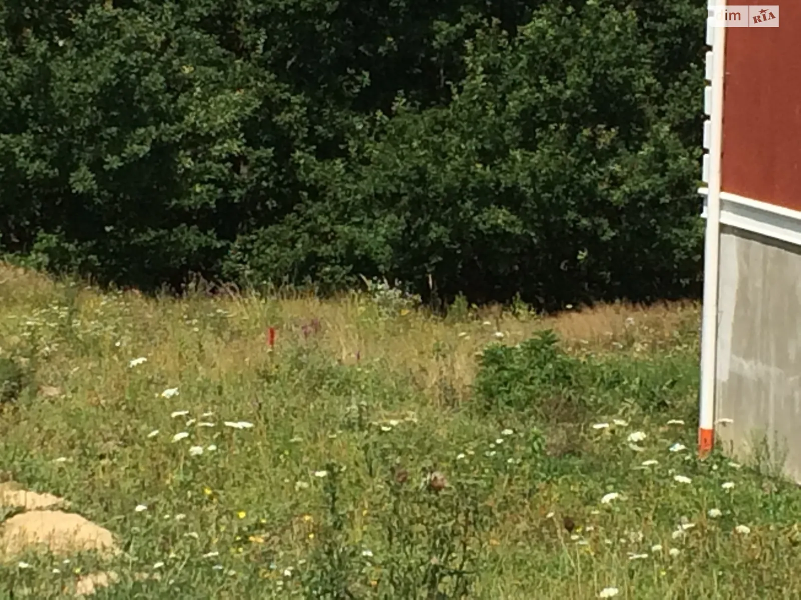 Продается земельный участок 5.4 соток в Закарпатской области, цена: 19900 $ - фото 1