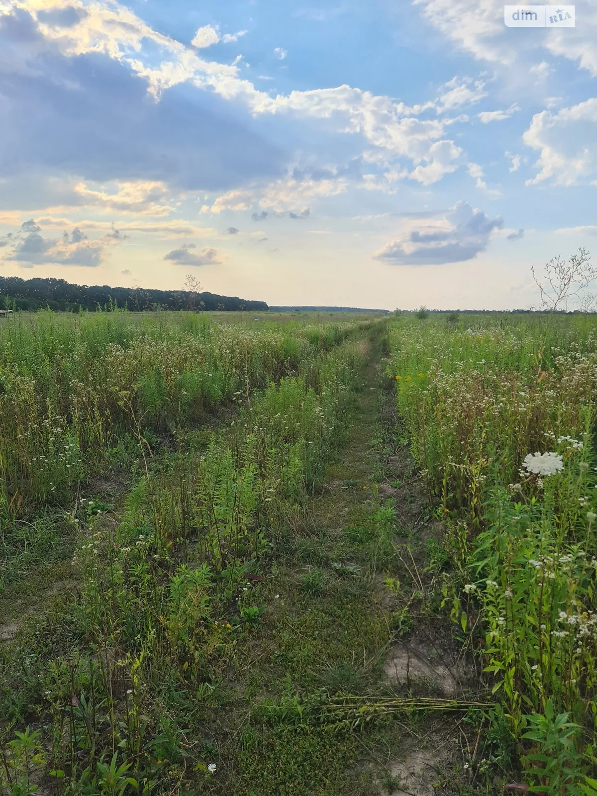 Продается земельный участок 10 соток в Винницкой области, цена: 10000 $ - фото 1