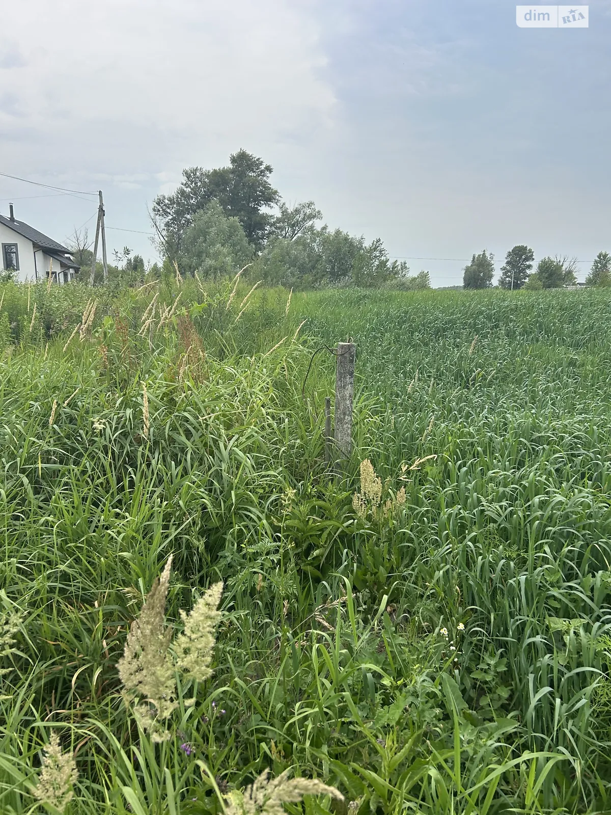 Продается земельный участок 10 соток в Киевской области, цена: 25000 $ - фото 1