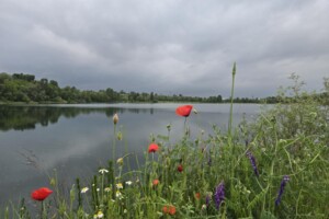 Продаж таунхауса, Київська, Горенка, Радгоспна вулиця