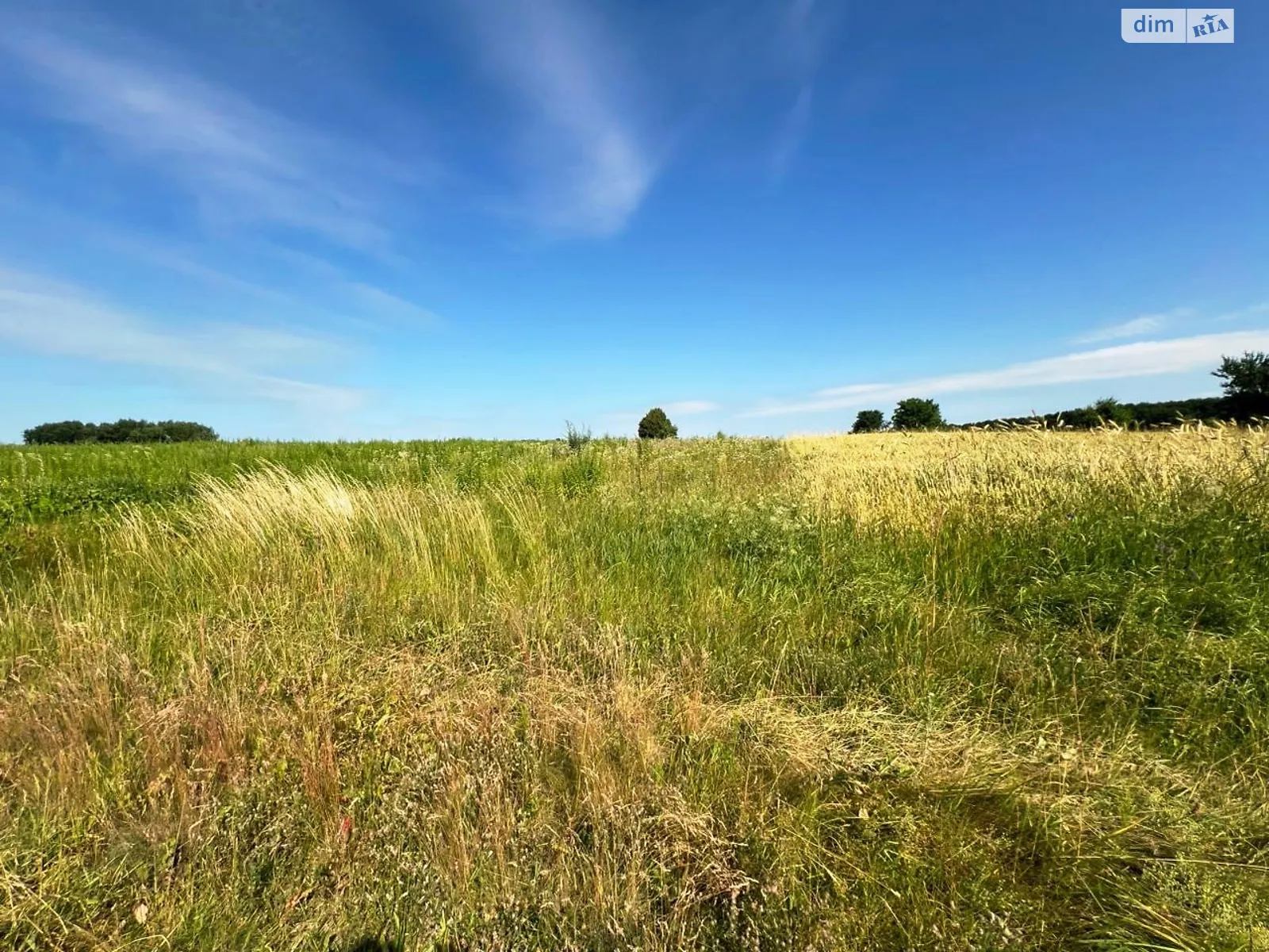 Продается земельный участок 12 соток в Винницкой области, цена: 11000 $ - фото 1