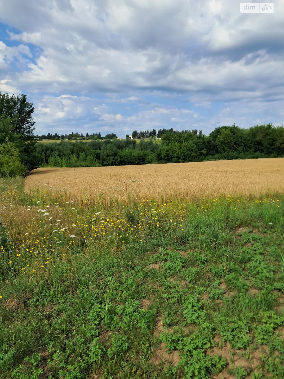 Вороновица, цена: 3000 $ - фото 1