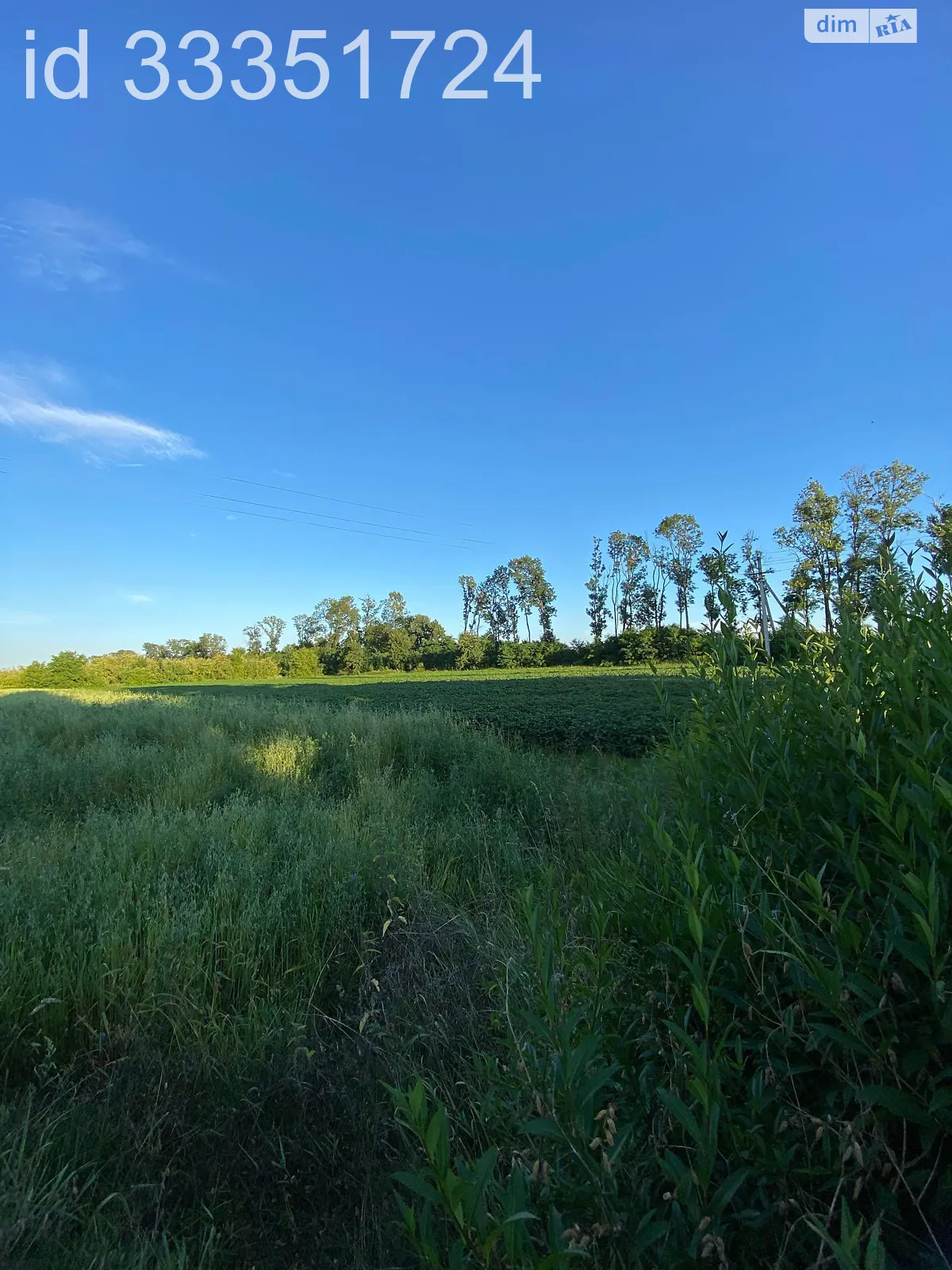 Репнов, цена: 20000 $ - фото 1