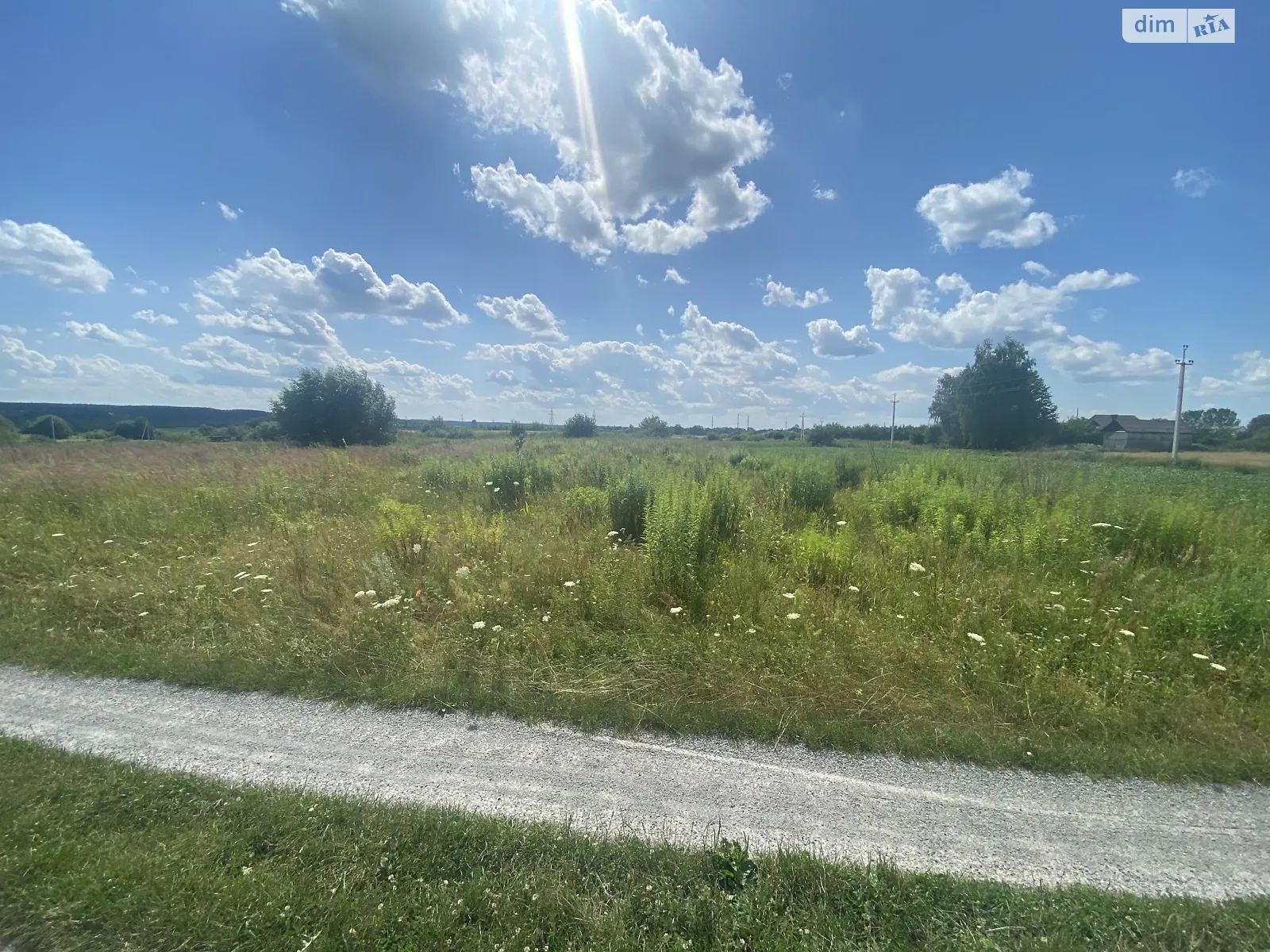 Продается земельный участок 11.25 соток в Ровенской области, цена: 5800 $ - фото 1