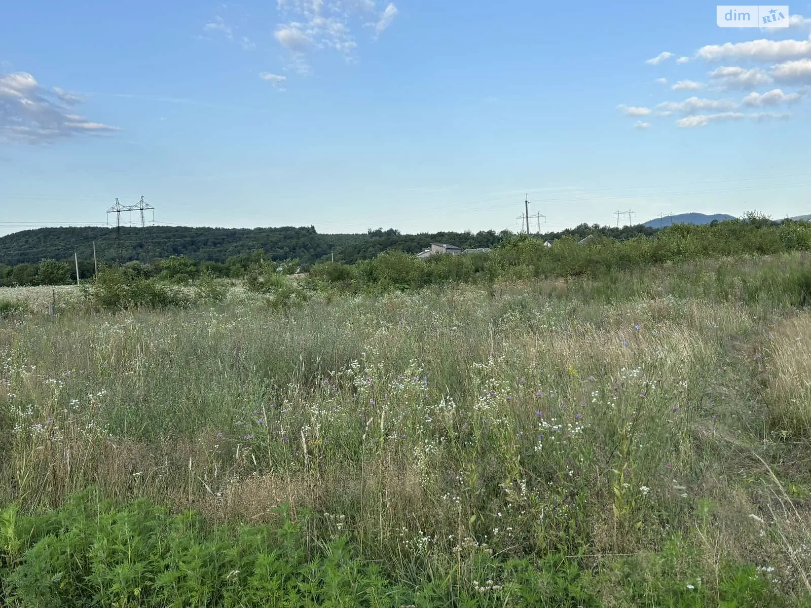 Продается земельный участок 15 соток в Закарпатской области, цена: 15000 $ - фото 1