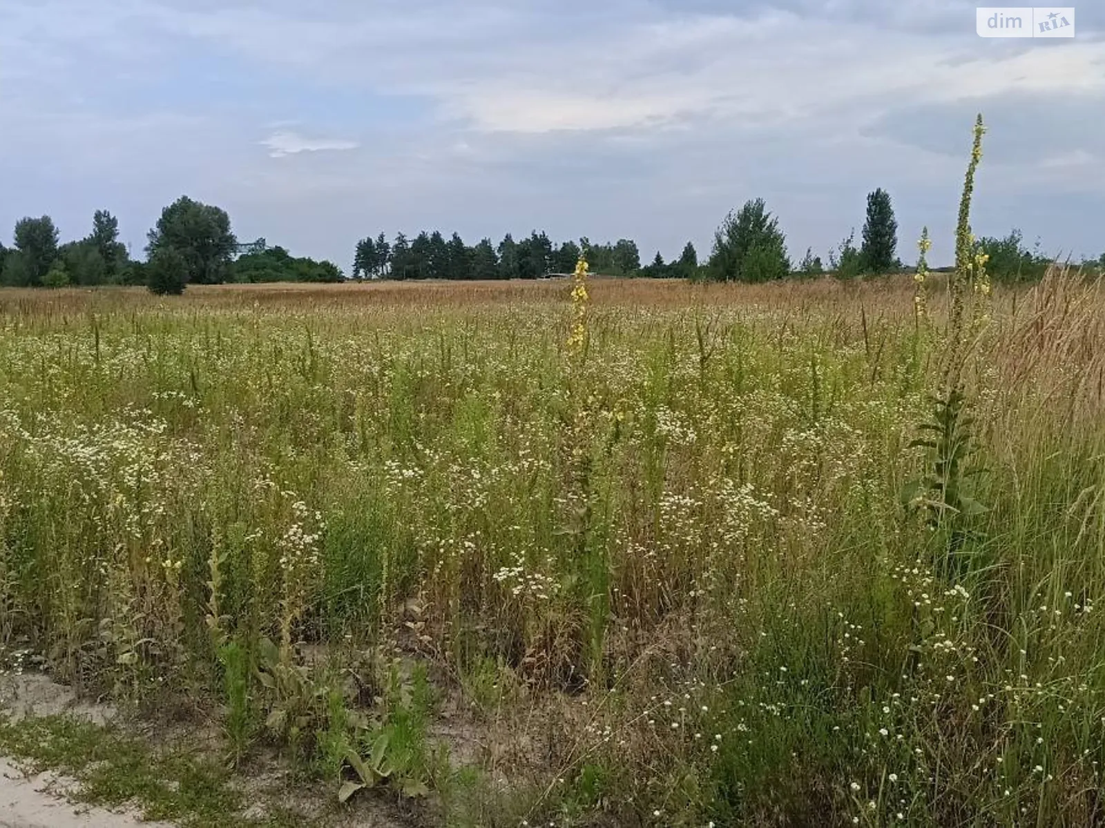 ул. Дубровская Старые Петровцы, цена: 15000 $ - фото 1