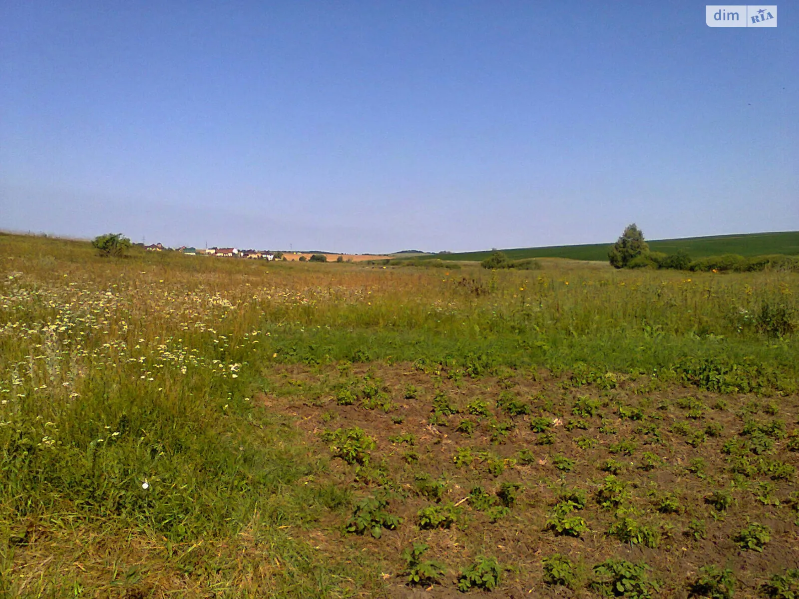 Продается земельный участок 25 соток в Хмельницкой области, цена: 10000 $ - фото 1
