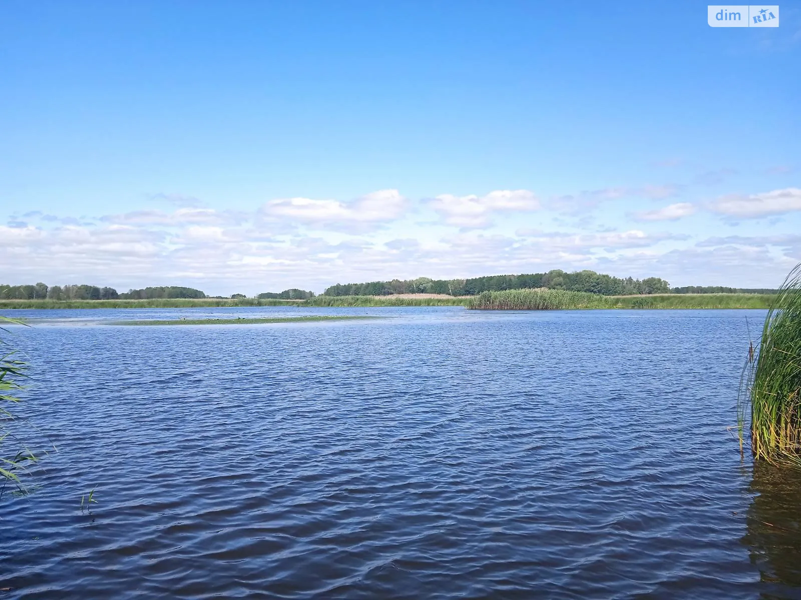 ул. Набережная Пилява, цена: 20000 $ - фото 1