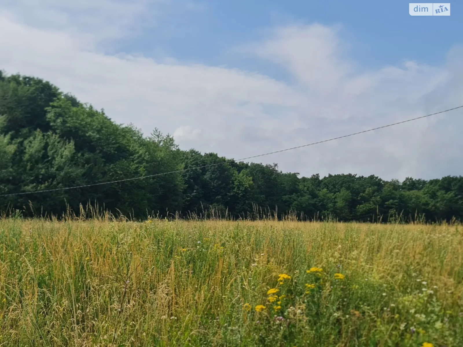 Червоная Диброва, цена: 38000 $ - фото 1