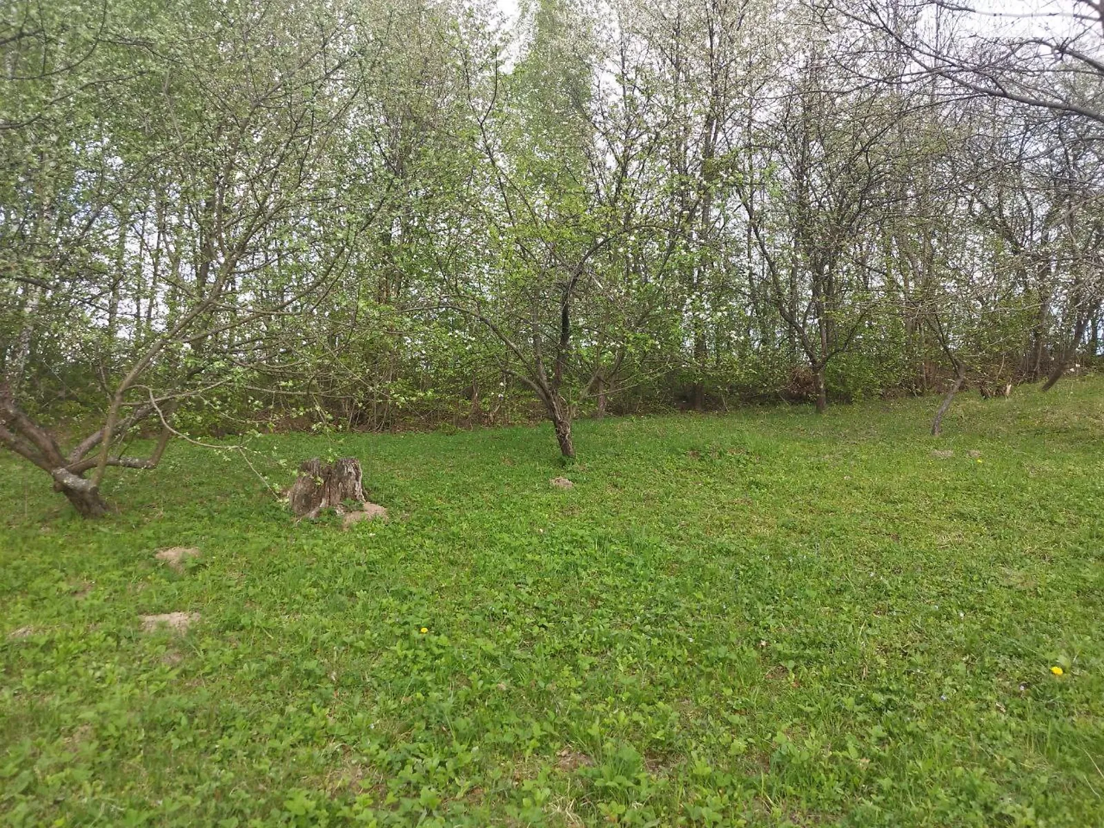 Продается земельный участок 34.04 соток в Хмельницкой области, цена: 5500 $ - фото 1