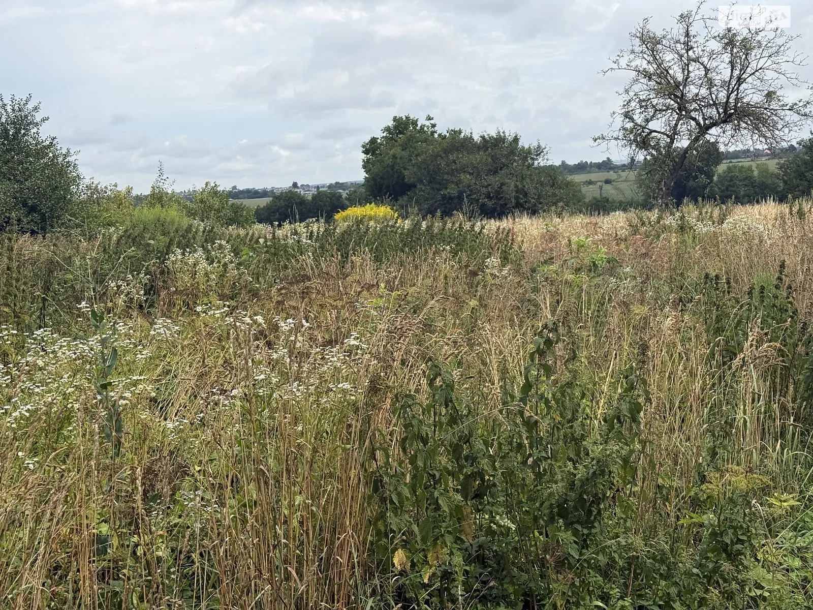 Продается земельный участок 17 соток в Тернопольской области, цена: 41000 $ - фото 1