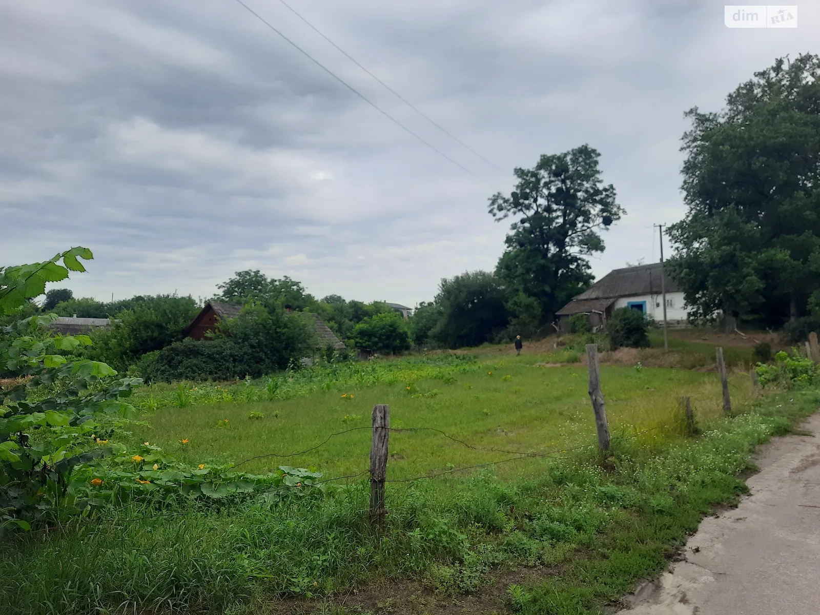 Продается земельный участок 25 соток в Житомирской области, цена: 12500 $ - фото 1