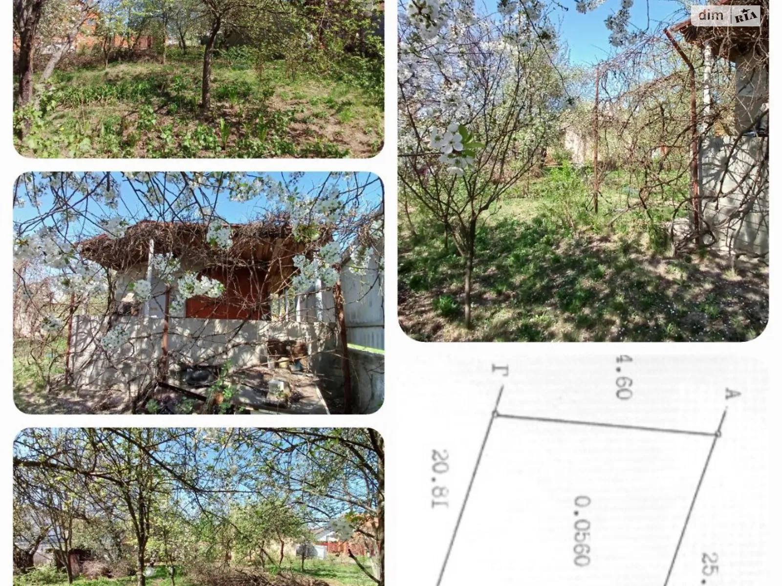 Лінія 12  Буча, цена: 42000 $ - фото 1