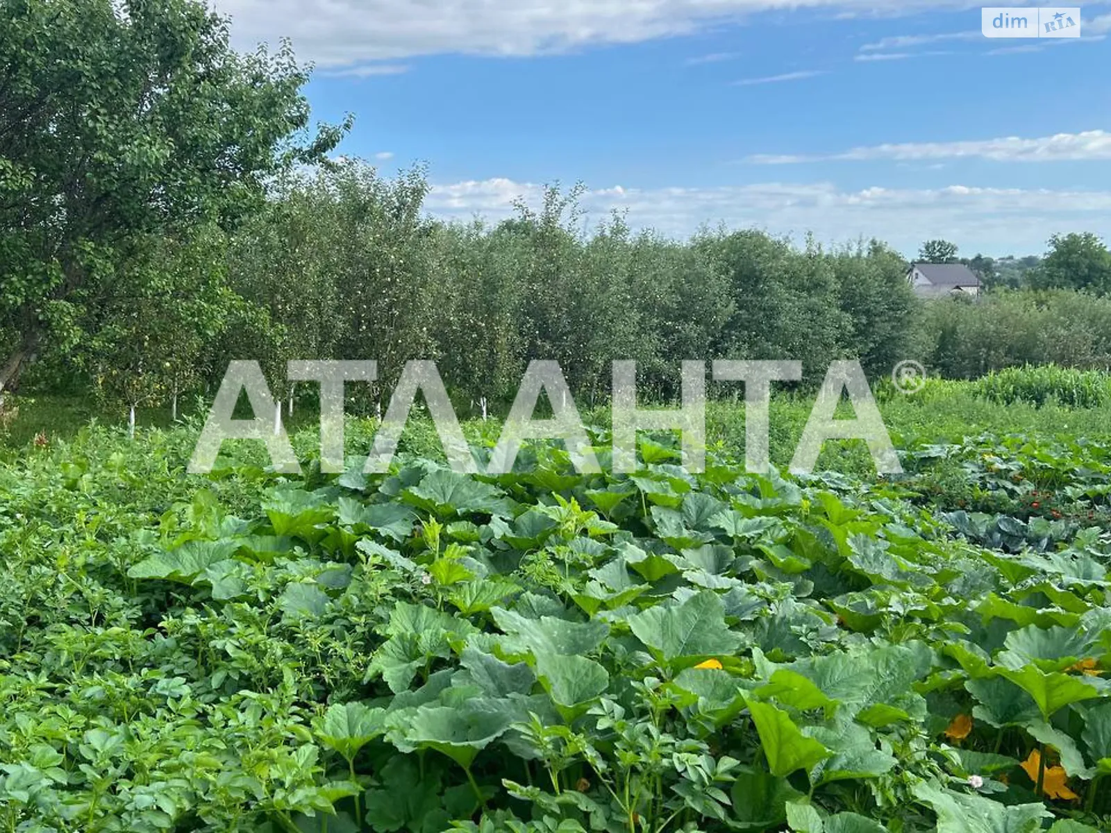 Продается земельный участок 25 соток в Винницкой области, цена: 57000 $ - фото 1
