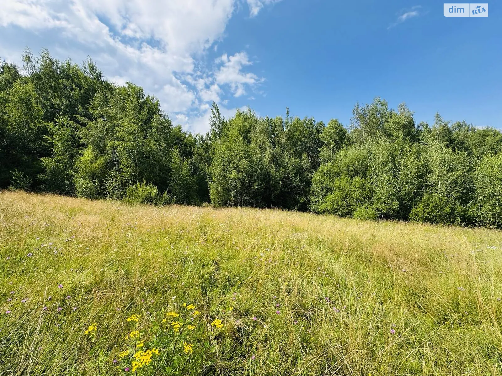 Продається земельна ділянка 17.03 соток у Івано-Франківській області, цена: 11500 $ - фото 1