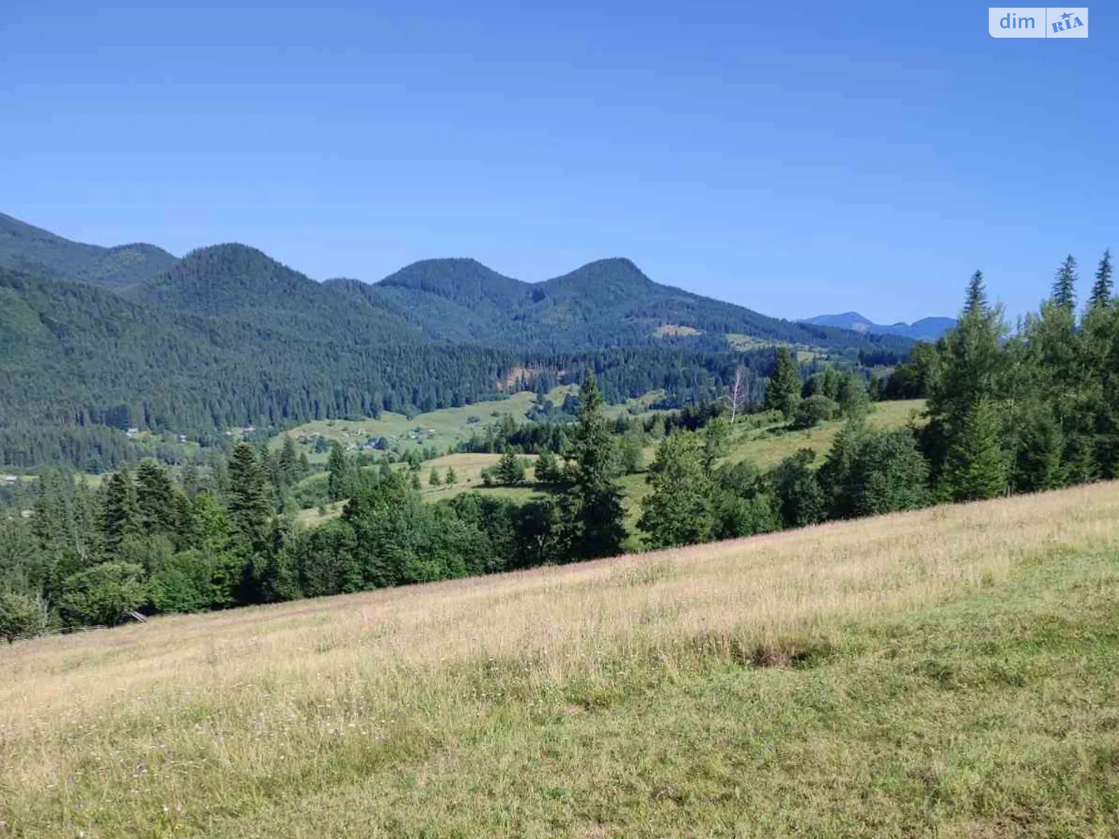 Продается земельный участок 25 соток в Ивано-Франковской области, цена: 35000 $ - фото 1