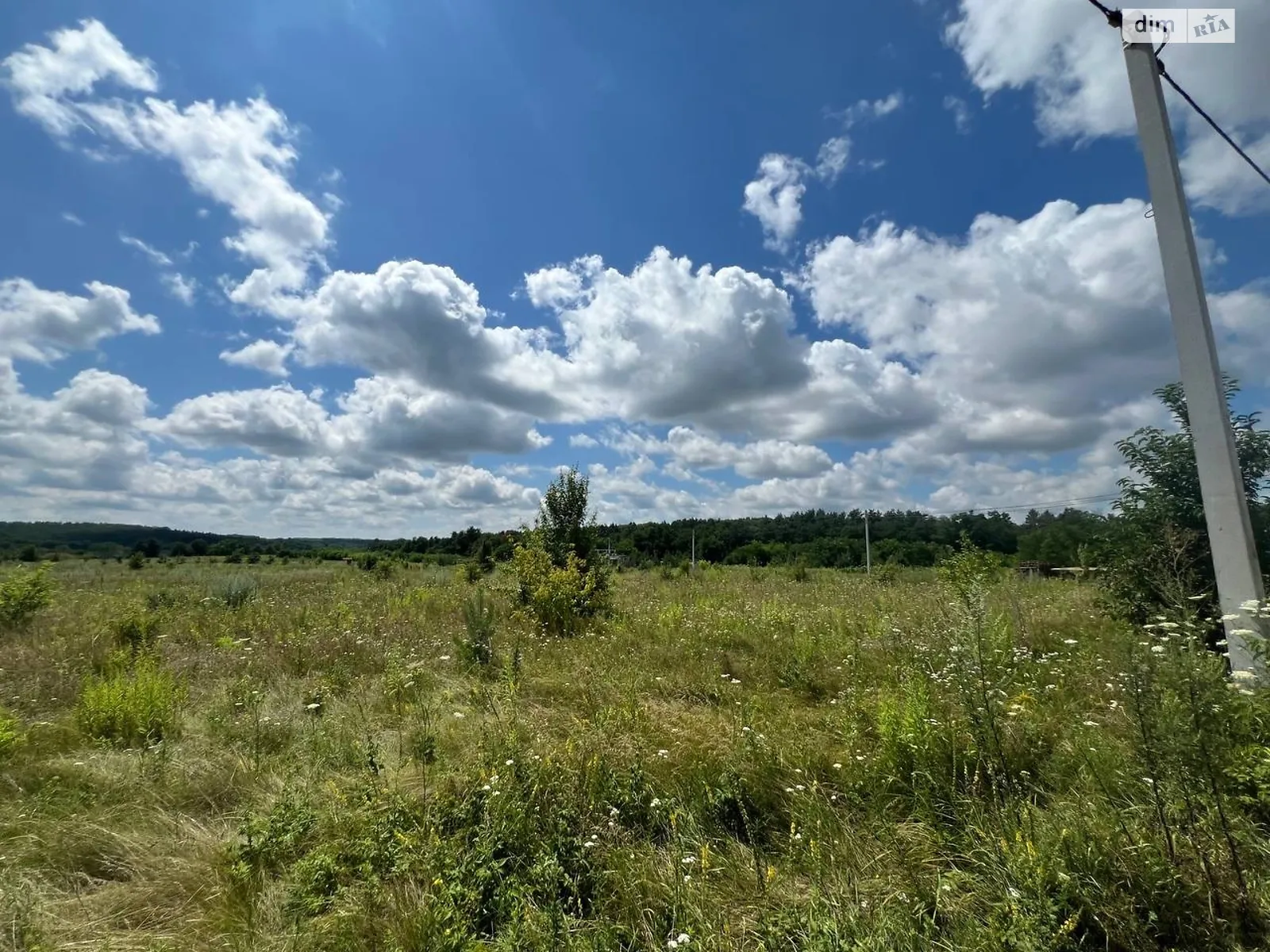 ул. Главная Прибужское (Шкуринци), цена: 57000 $ - фото 1