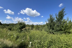 Продажа земли сельскохозяйственного назначения, Хмельницкая, Лесовые Гриновцы