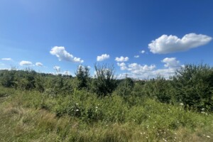 Продажа земли сельскохозяйственного назначения, Хмельницкая, Лесовые Гриновцы