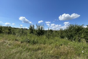 Продажа земли сельскохозяйственного назначения, Хмельницкая, Лесовые Гриновцы