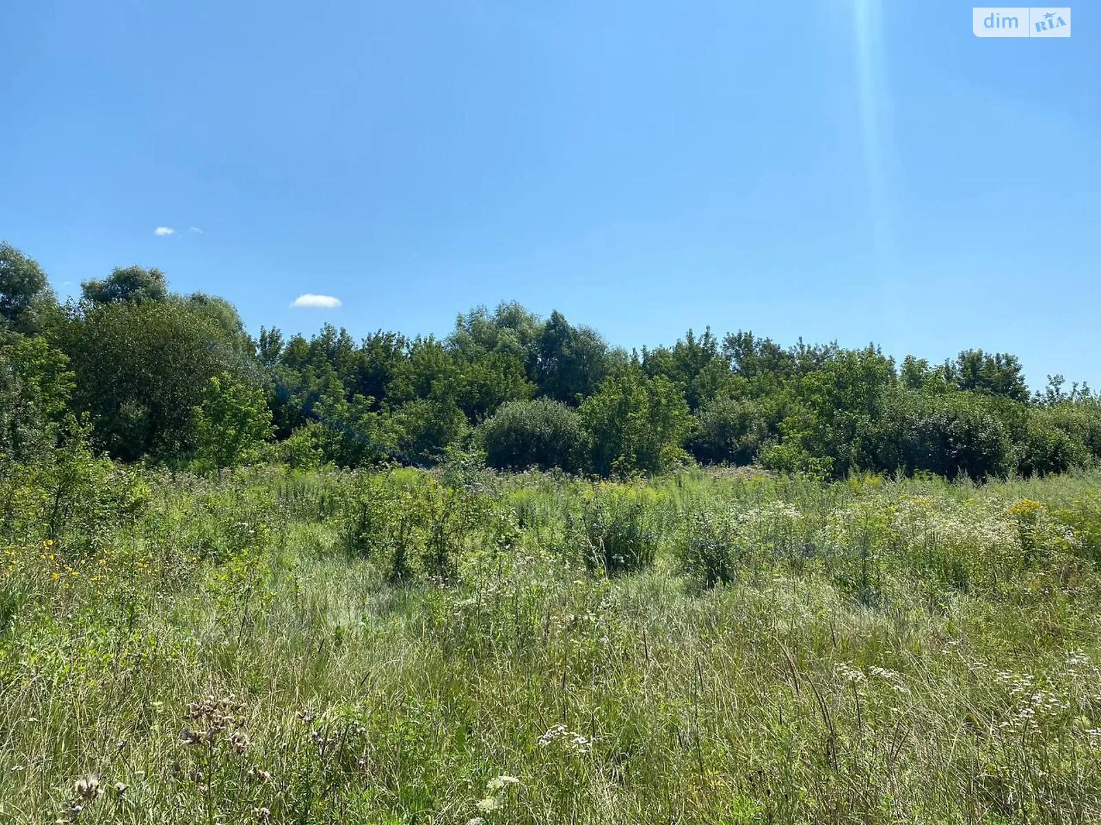Продается земельный участок 24.94 соток в Киевской области, цена: 50000 $ - фото 1