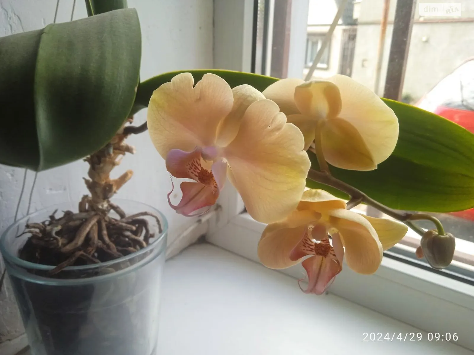 ул. Мирная Слободка Одесса, цена: 82000 $ - фото 1